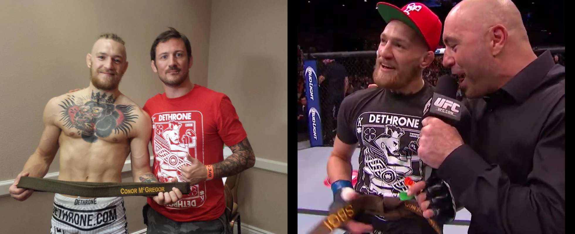 Conor McGregor The Notorious Brown Belt in Brazilian JiuJitsu BJJDOC